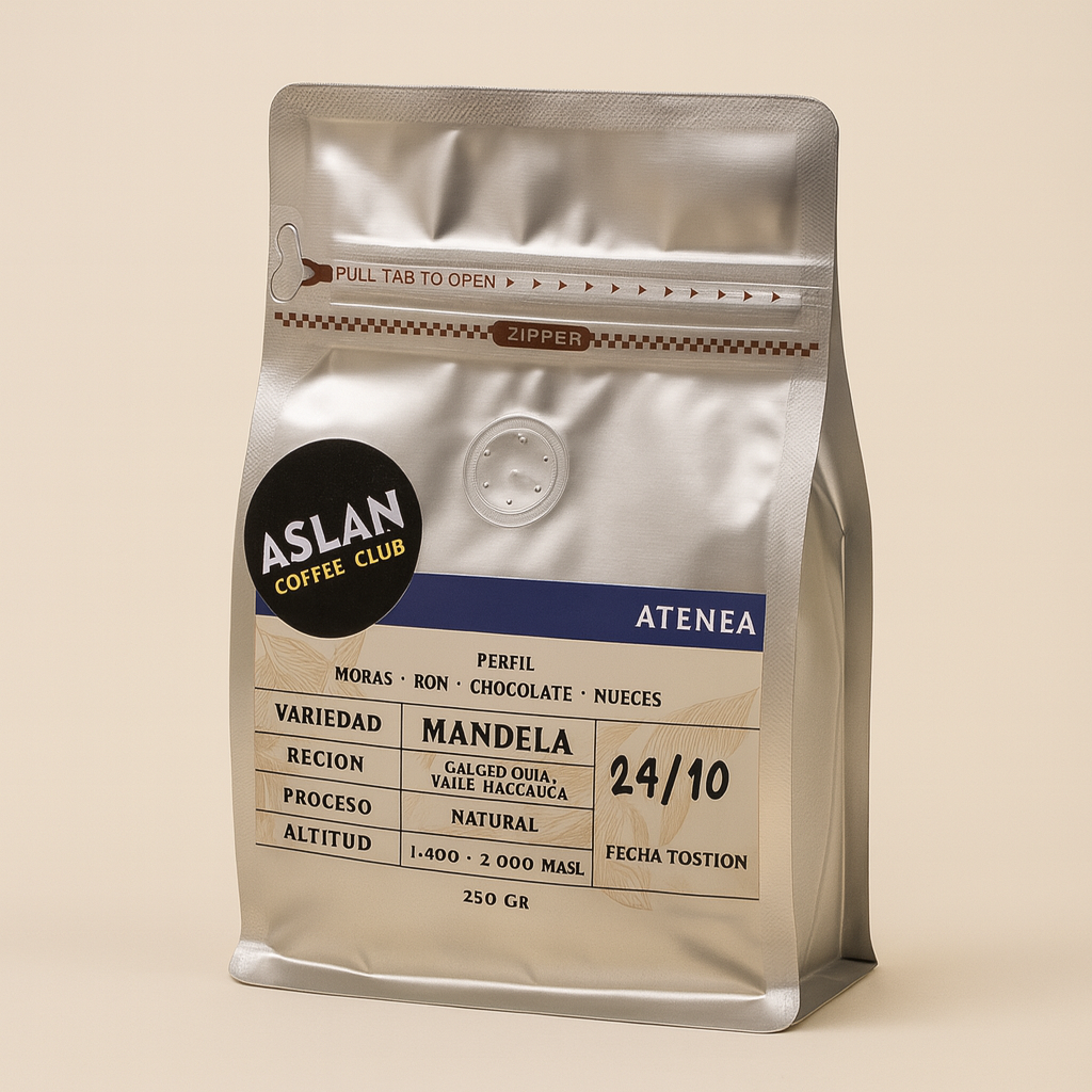 Aslan Coffee Club Atenea