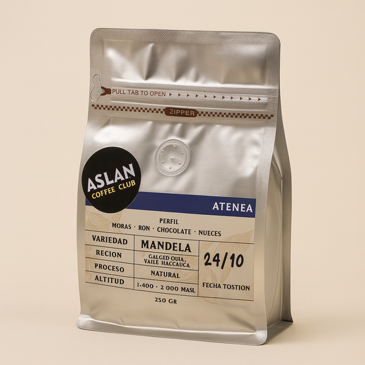 Aslan Coffee Club Atenea