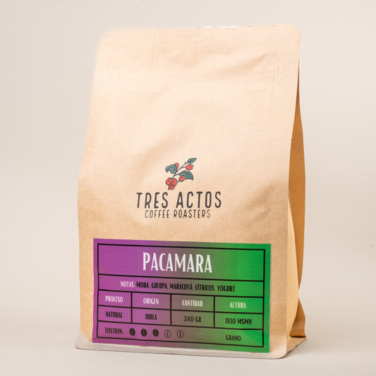 Tres Actos Pacamara Natural